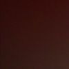 dhanew23